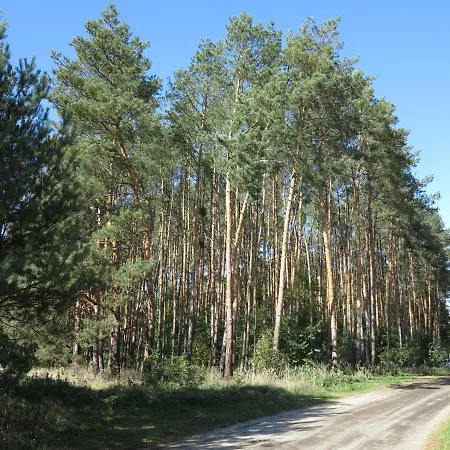 Warzecha Miloszyce Bzowa 40/6 * Jelcz-Laskowice